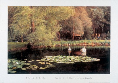 The Lily Pond, Shudbrook, Near Lincoln